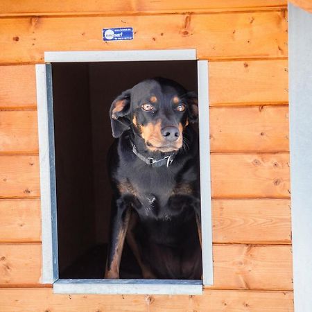 Ferienwohnung Bei Cooldog Imst Exterior photo