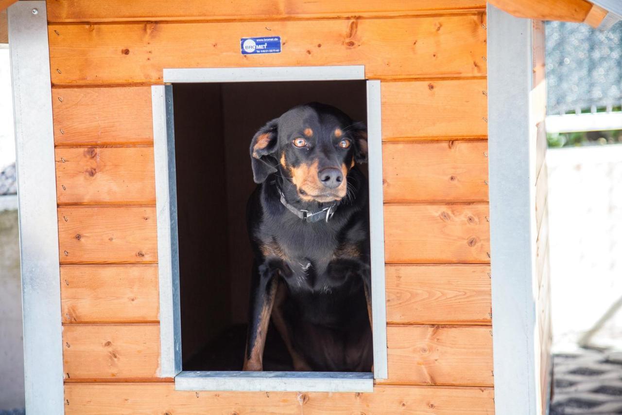 Ferienwohnung Bei Cooldog Imst Exterior photo